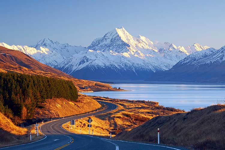 nz motorcycle tours